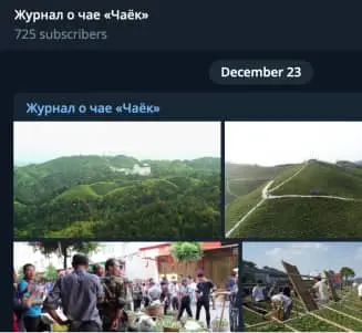 Активный Телеграм